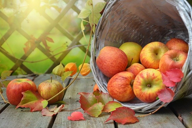 apples-1776744_640